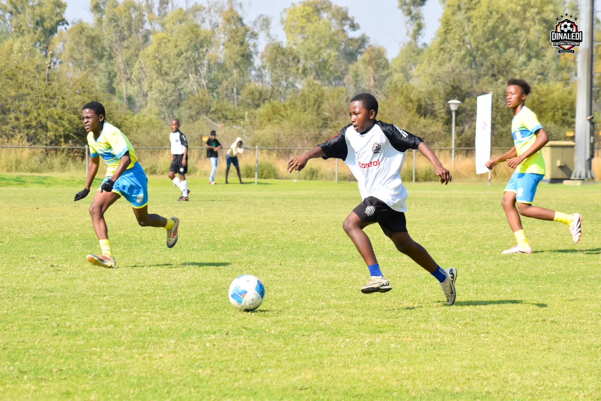 Dinaledi players in action